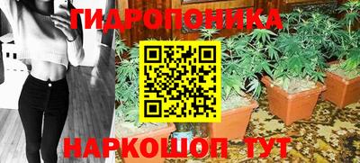 амф Аша