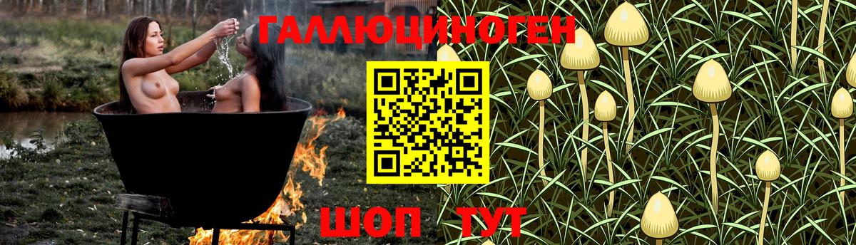 Псилоцибиновые грибы Magic Shrooms  Вход с VPN  Зима  Псилоцибиновые грибы Cubensis 